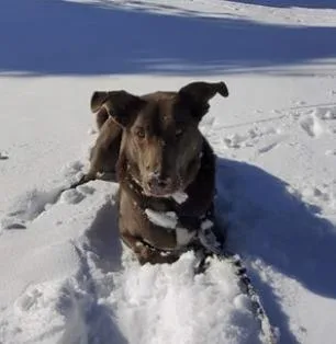 Loki thumbnail 2