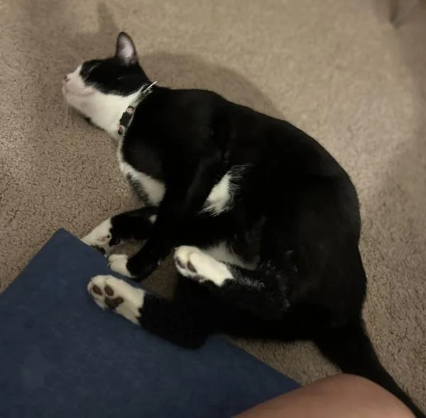 Loaf thumbnail 2