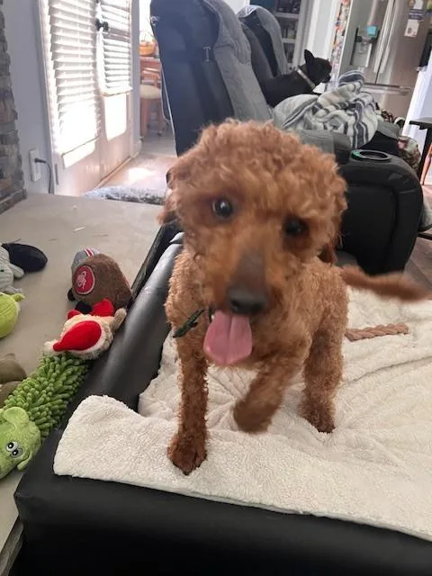 Franklin thumbnail 3