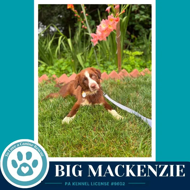Big Mackenzie thumbnail 2