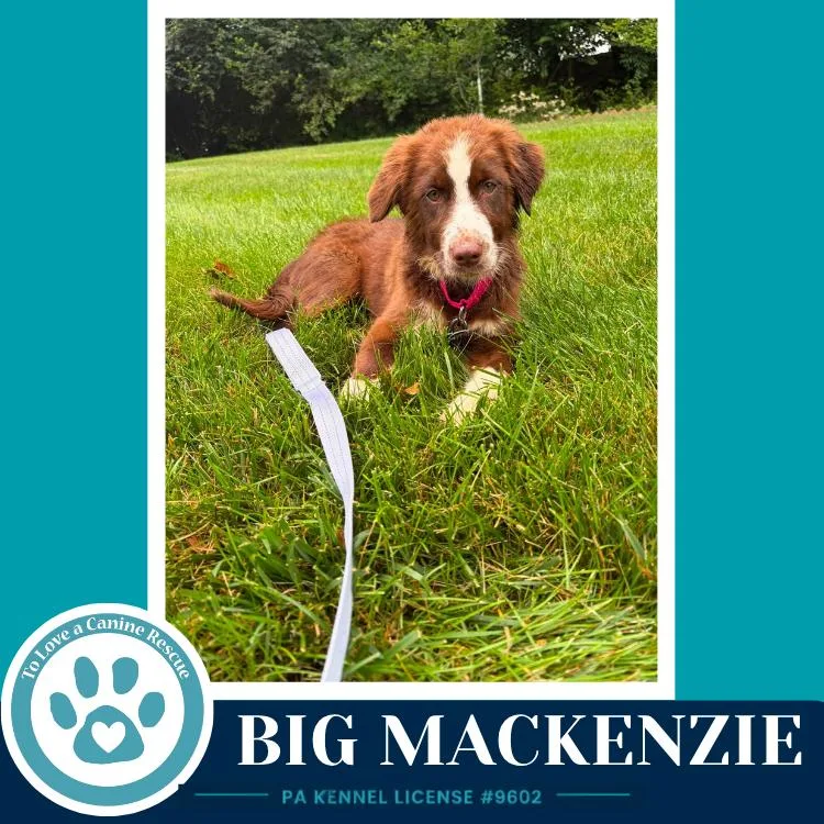 Big Mackenzie thumbnail 3