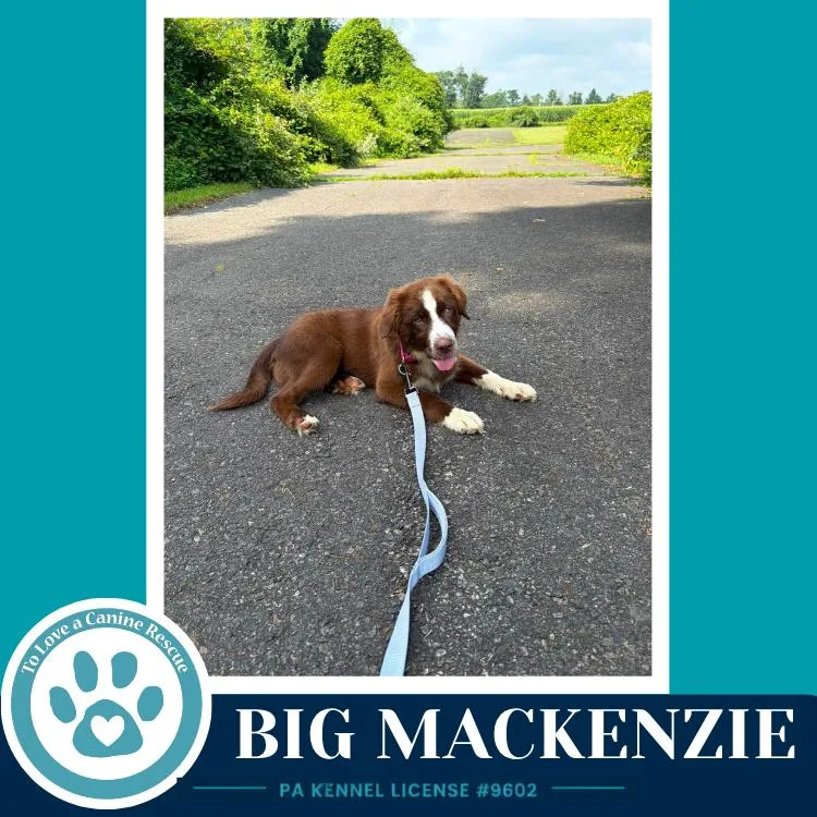Big Mackenzie thumbnail 4