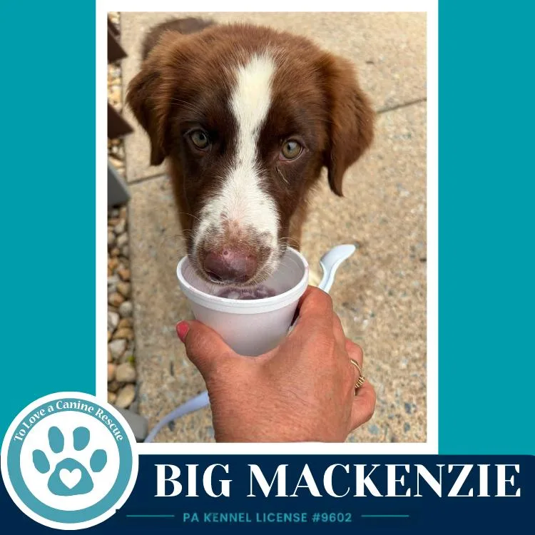 Big Mackenzie thumbnail 5