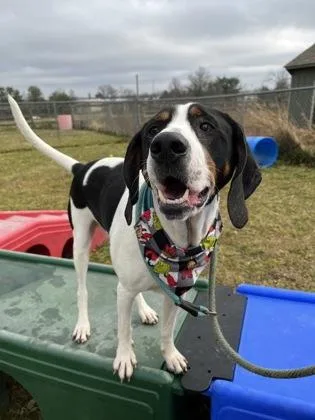 Walter