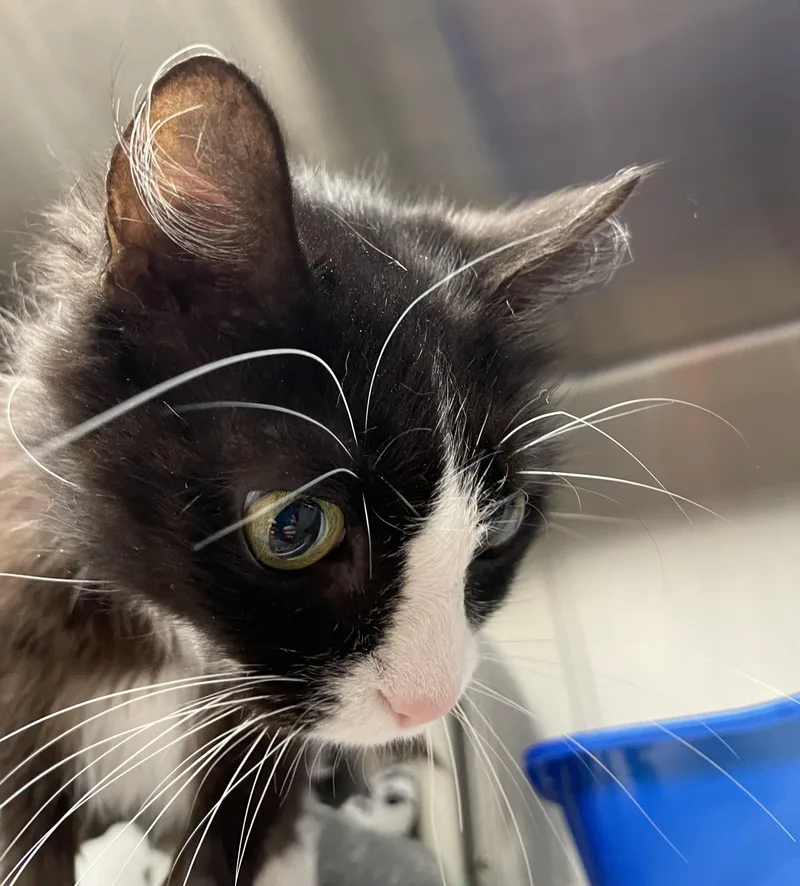 Thelma And Louise thumbnail 2