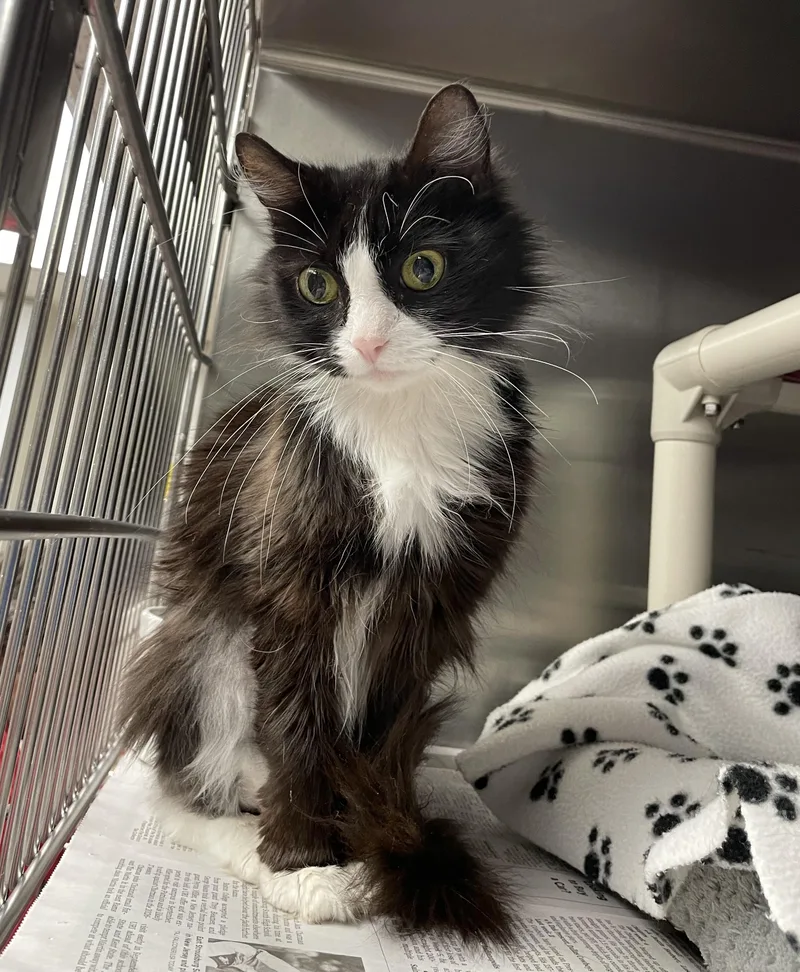 Thelma And Louise thumbnail 3