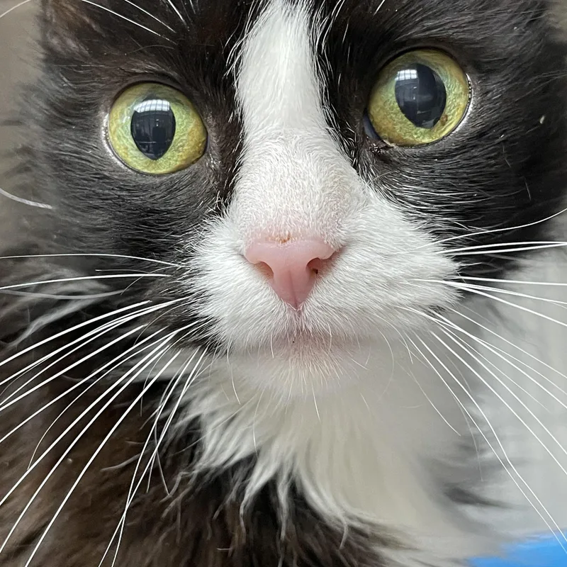 Thelma And Louise thumbnail 4