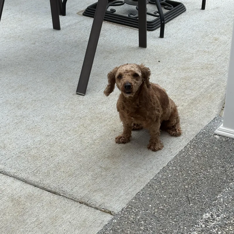 Rusty Cooper: thumbnail 2