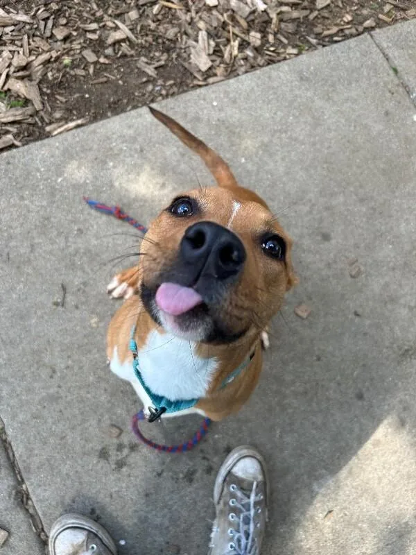 Blep thumbnail 2