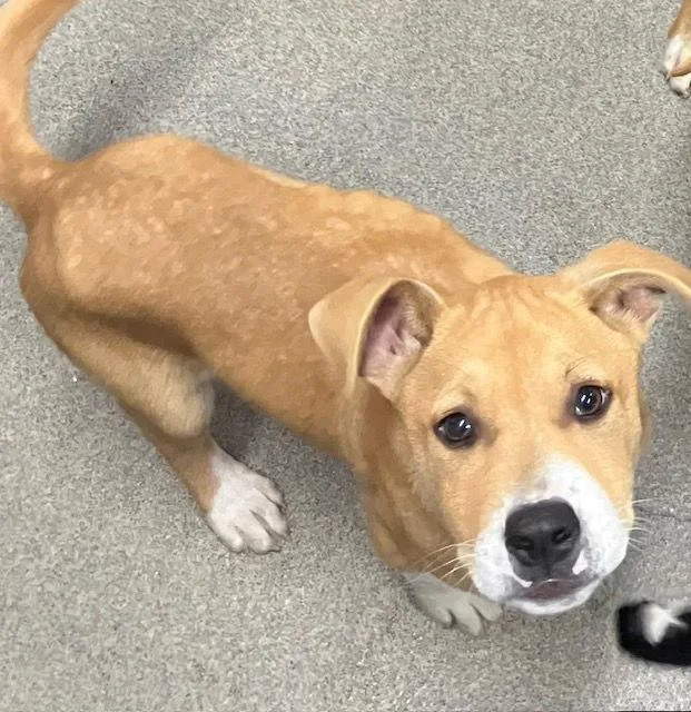 Speckles  Months Male