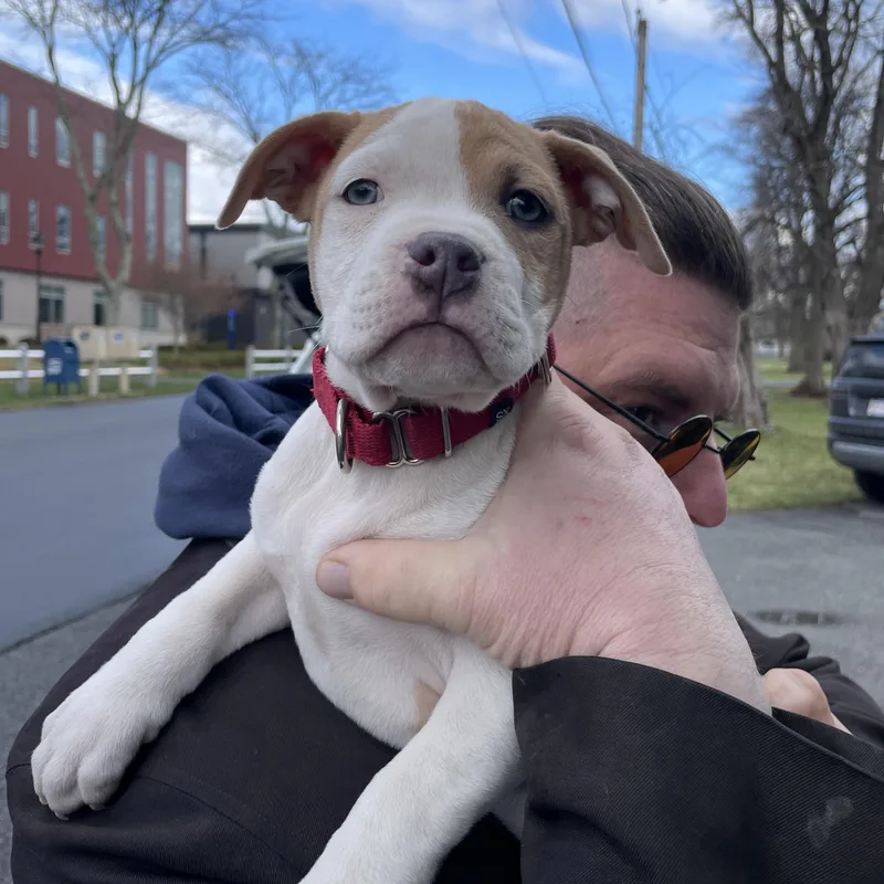 Carina Stardust  Local thumbnail 2