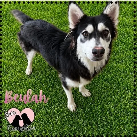 Beulah