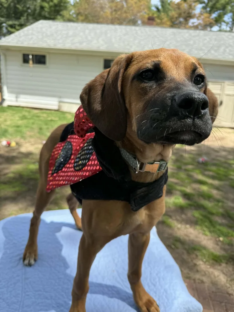 Maggie