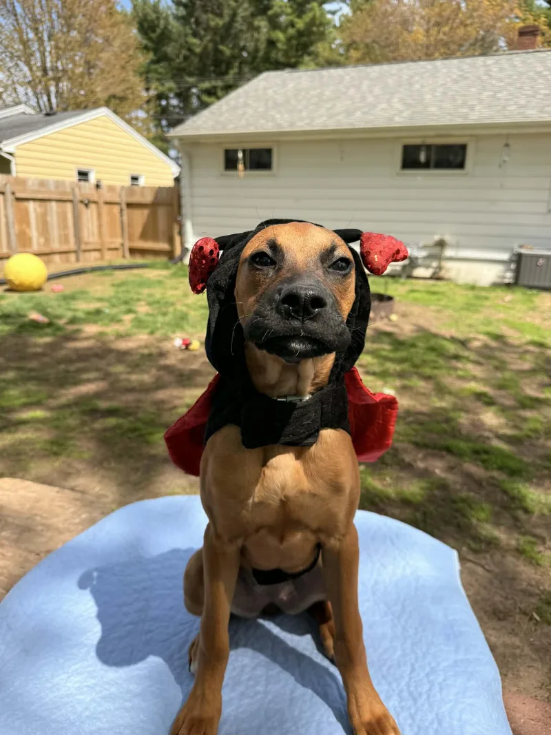 Maggie thumbnail 3