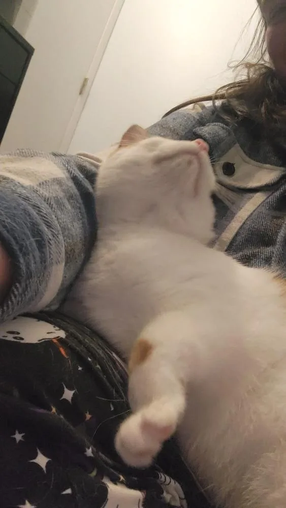 Rosy Posey thumbnail 3