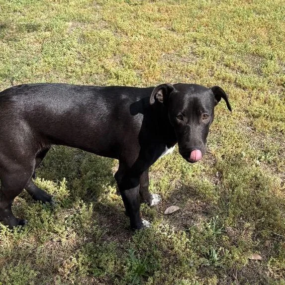 Florence thumbnail 2