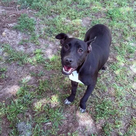 Florence thumbnail 3