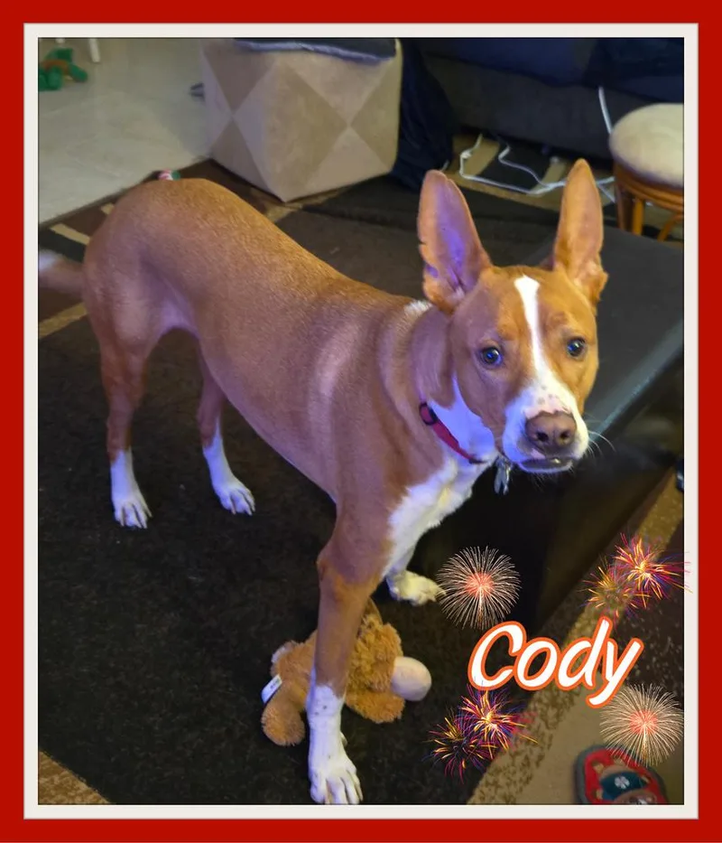 Cody thumbnail 2