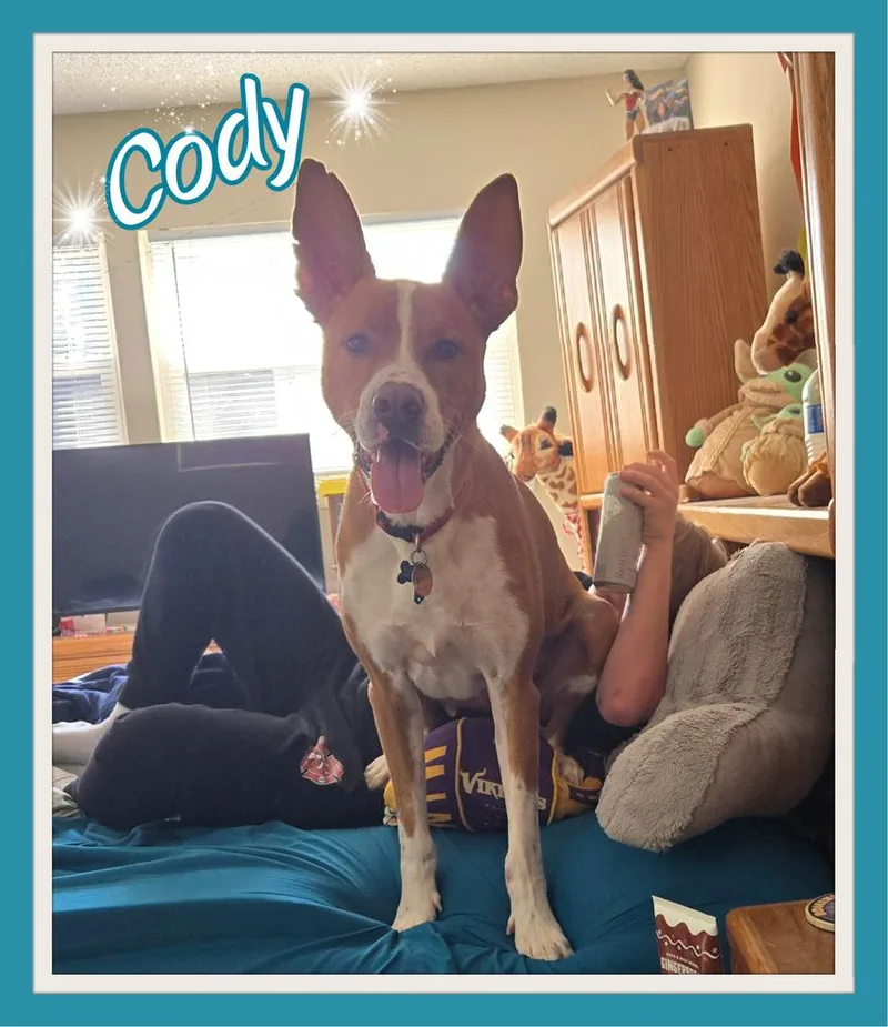 Cody thumbnail 3
