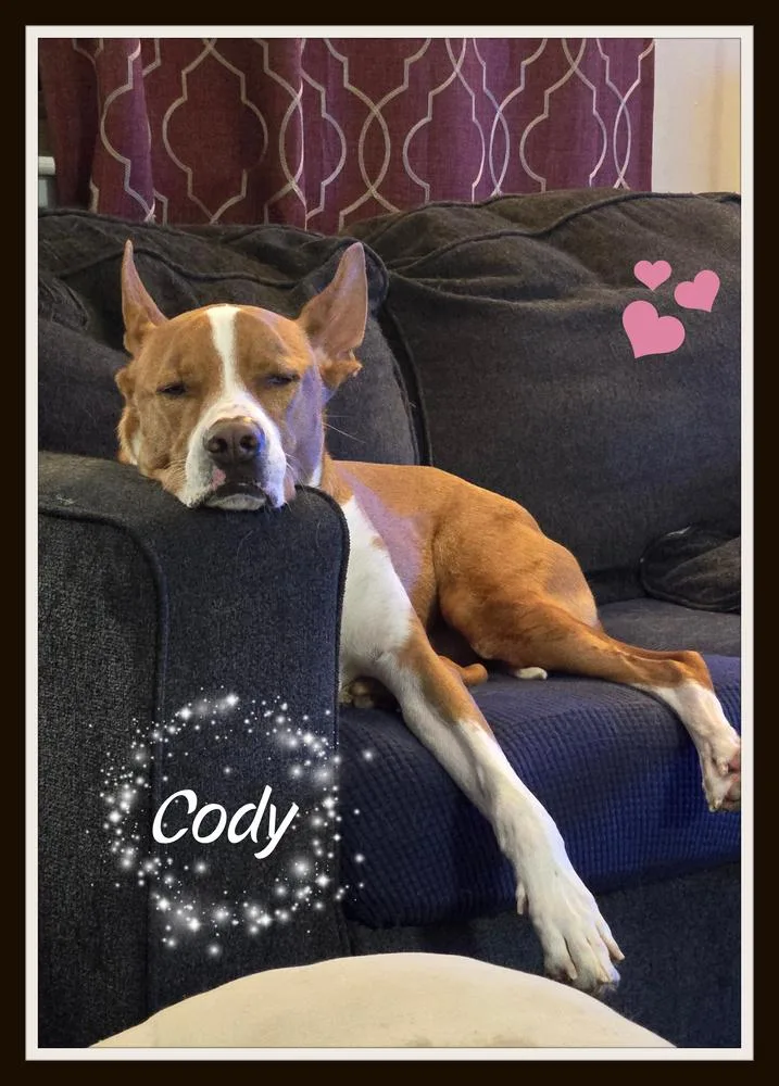Cody thumbnail 4