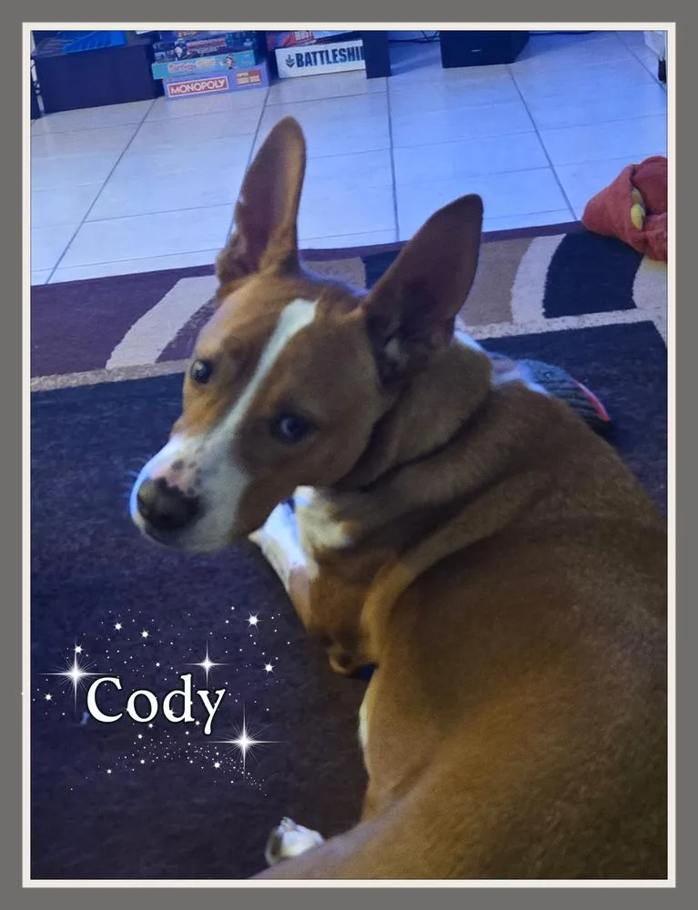 Cody thumbnail 5