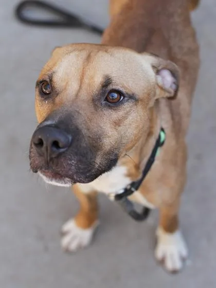 Merchant thumbnail 2