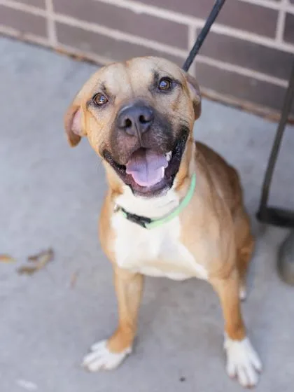 Merchant thumbnail 3