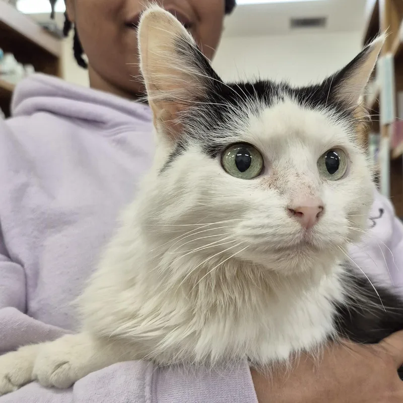 Doris ~~ Visit Me thumbnail 4