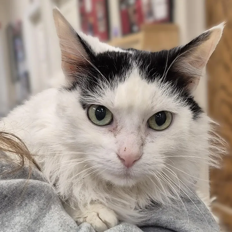 Doris ~~ Visit Me thumbnail 5