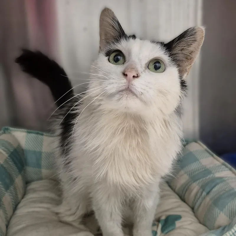 Doris ~~ Visit Me thumbnail 6