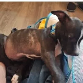 Izzy May thumbnail 2