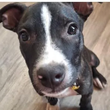 Izzy May thumbnail 3