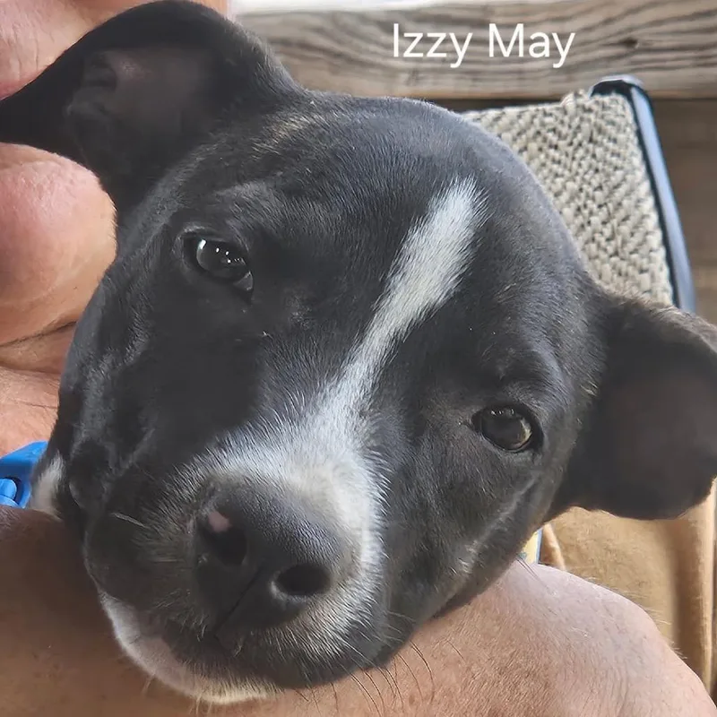 Izzy May thumbnail 4