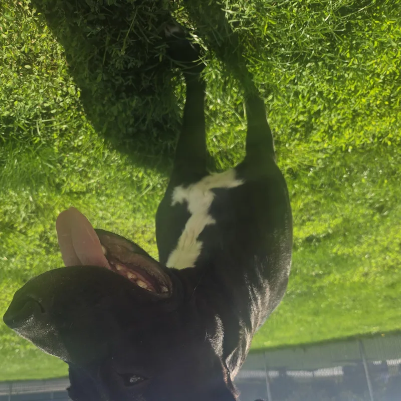 Talladoga thumbnail 2