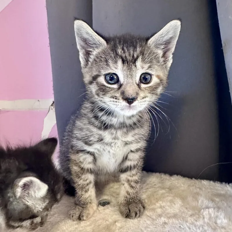 Reluctant Hero thumbnail 2