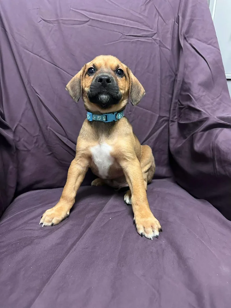 Kenny Rogers thumbnail 3