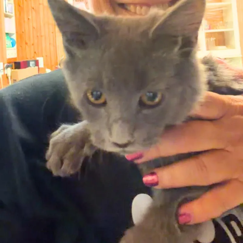 Smokey thumbnail 3