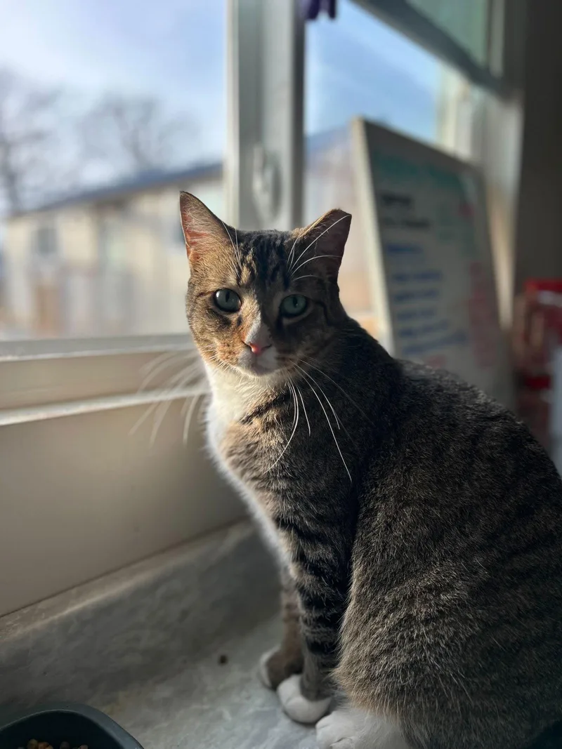 Buddy Nov thumbnail 2