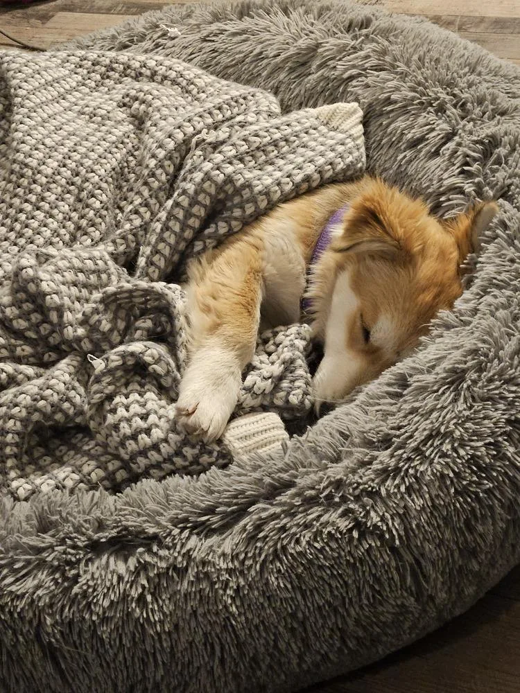 Honey Pw thumbnail 2