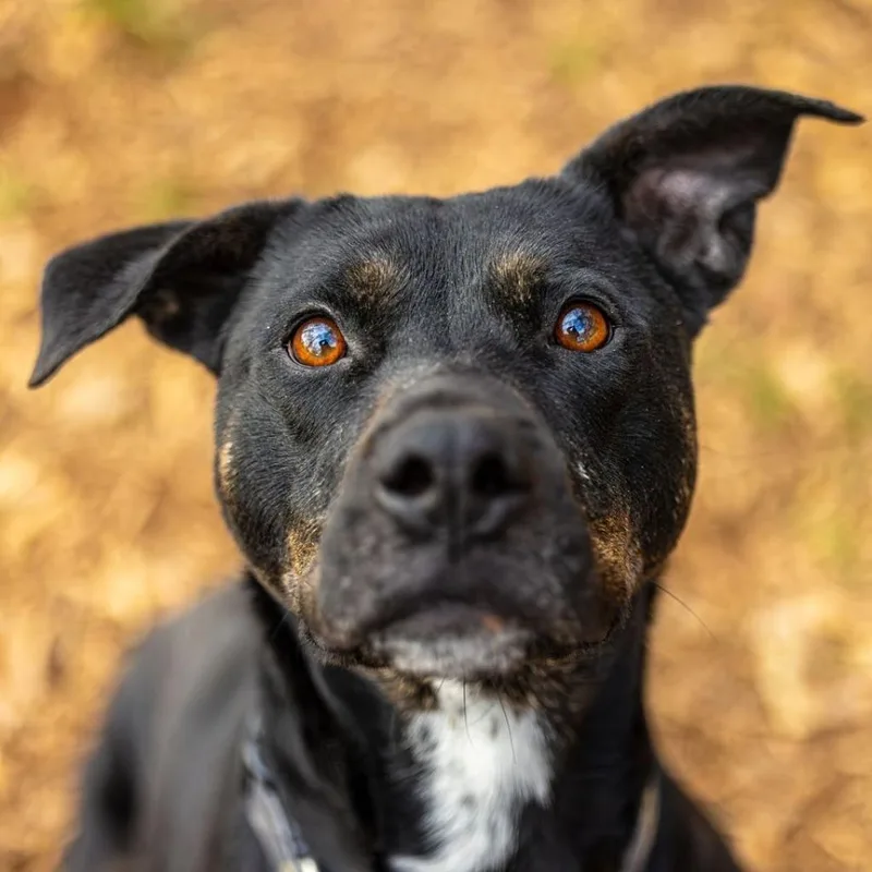 Charlotte thumbnail 5