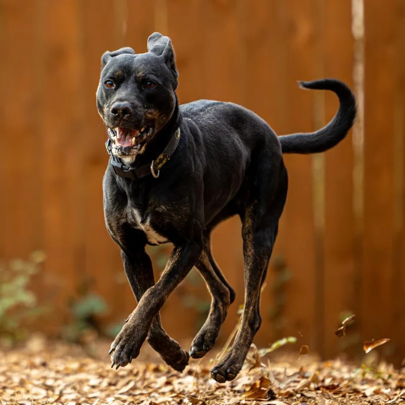 Charlotte thumbnail 6