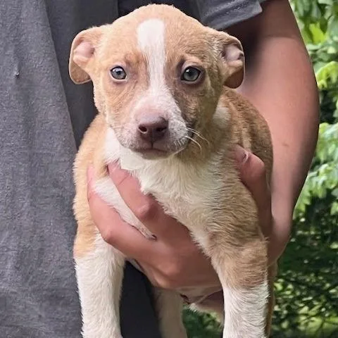 Gwen