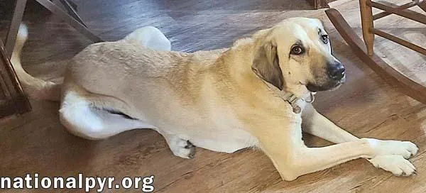 Willow In La  thumbnail 2