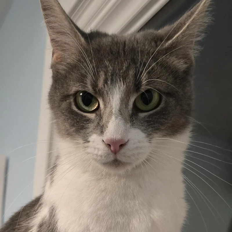 Delilah thumbnail 2