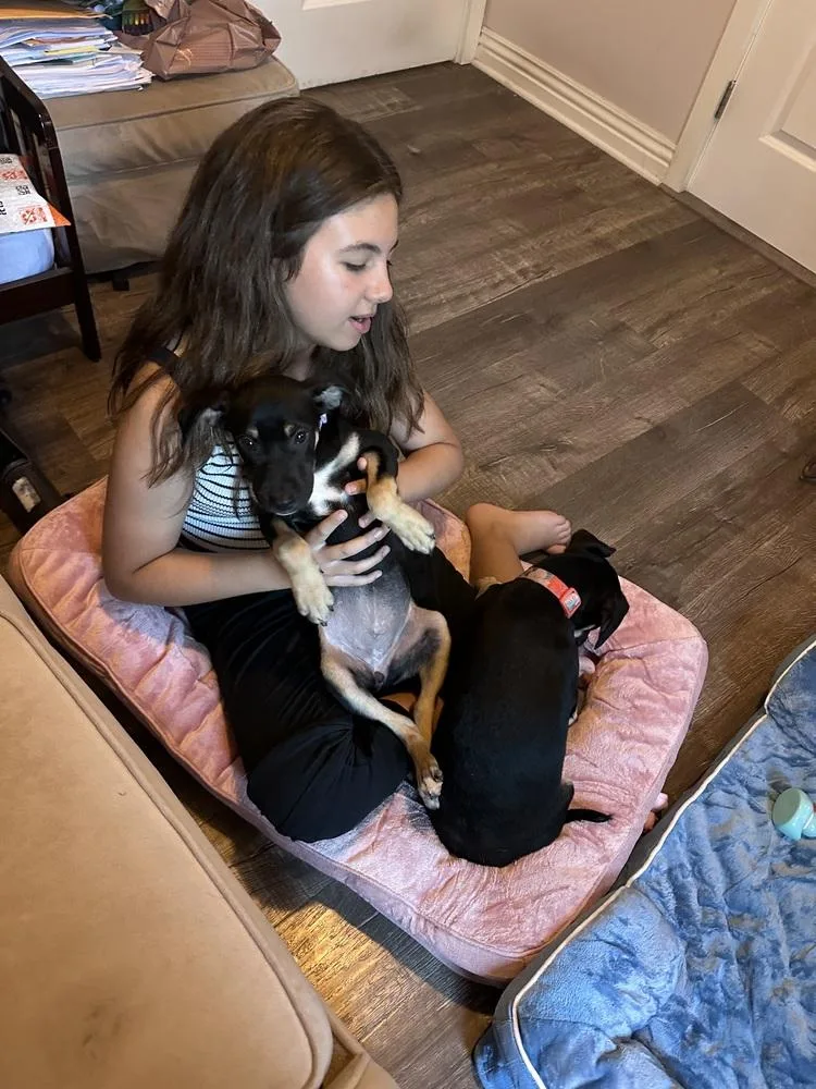 Violet Rose thumbnail 4