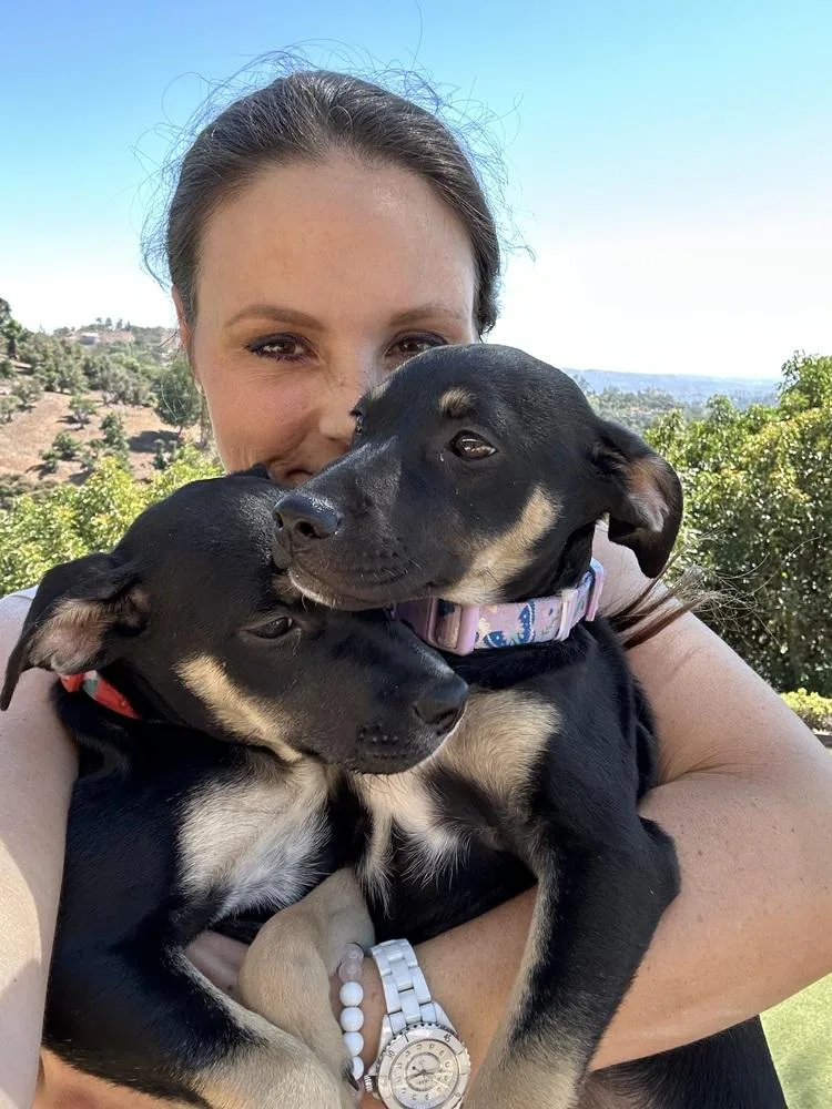 Violet Rose thumbnail 6