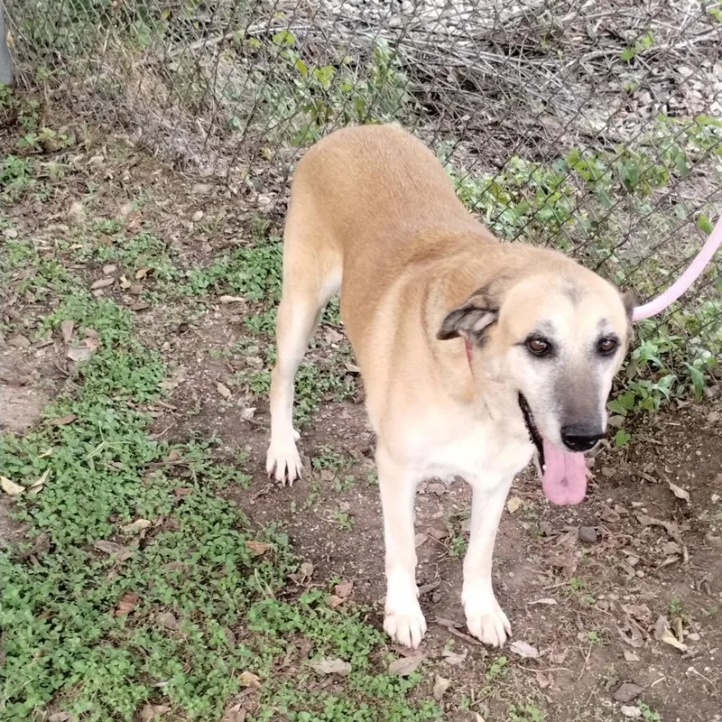 Grandma Agnes D thumbnail 3