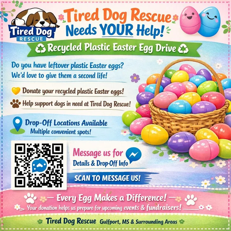 An adult small-sized female White / Cream Coonhound dog named Molly for adoption in Gulfport, MS