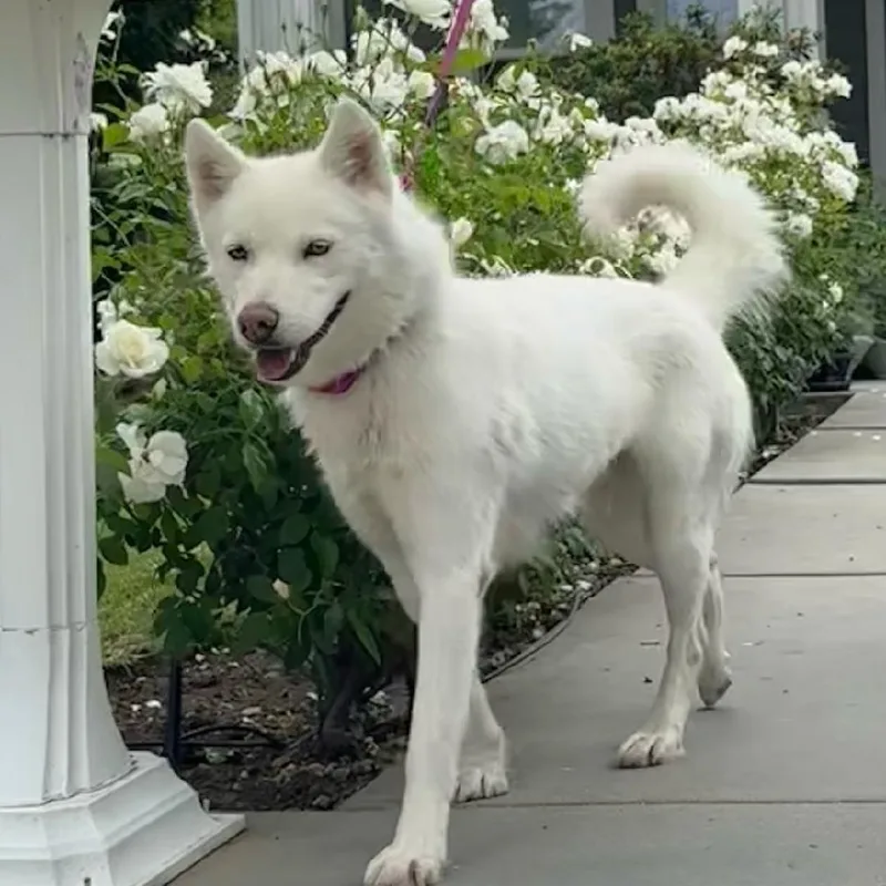 Delilah The Beauty thumbnail 3