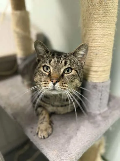 Sweet Eddie thumbnail 2